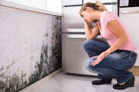 Mold Documentation for Insurance Claims in Clarkston, GA